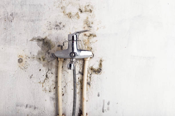 Best Mold Testing  in Baldwin, FL