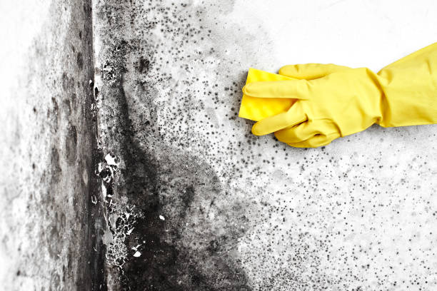 Water Damage Restoration in Baldwin, FL