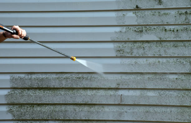 Best Residential Mold Removal  in Baldwin, FL