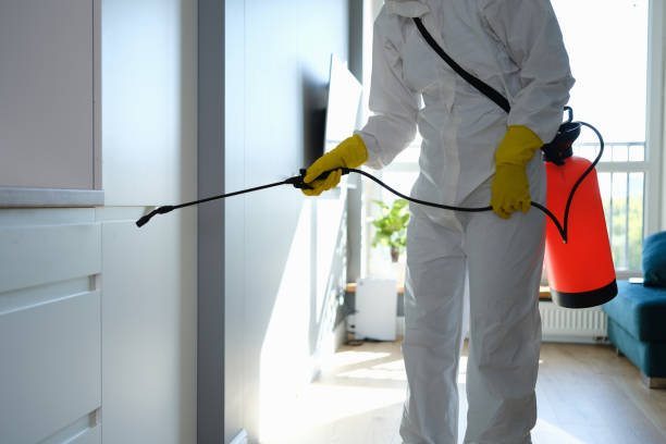 Best Certified Mold Removal  in Baldwin, FL