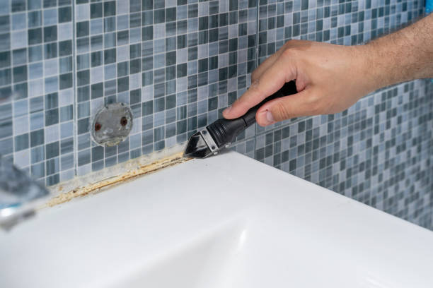 Best Mold Removal Near Me  in Baldwin, FL